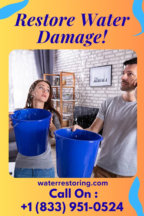 water restoration Precision Damage Recovery & Sons Slaughters