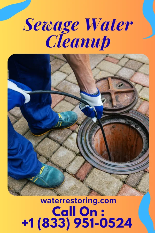 Sewage Water Cleanup in Slaughters, KY